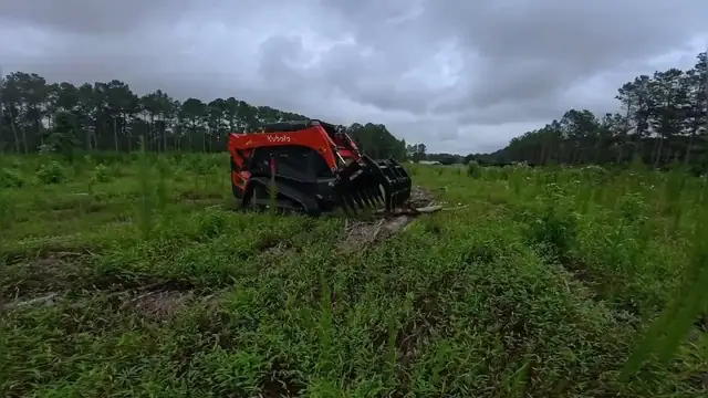 Clearing brush in a field