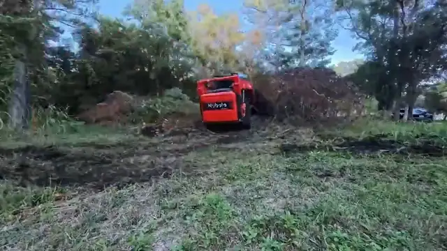Clearing an overgrown lot