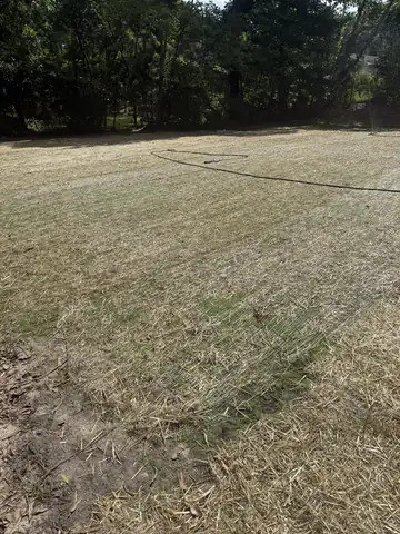 Regraded yard seeded and covered with straw