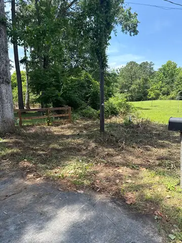 Brush and undergrowth cleared along a driveway by the mailbox