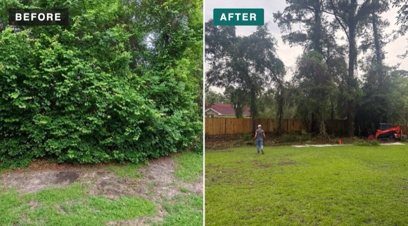 Before and after landscape removal in Wilmington, NC: overgrown brush cleared with a Kubota forestry mulcher